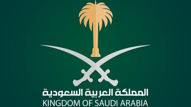 Digital Government Access